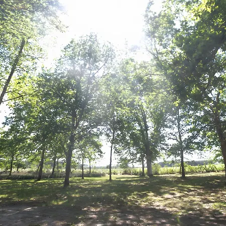 Campsite 4 - Domaine Des Landes Lesperon (Landes)