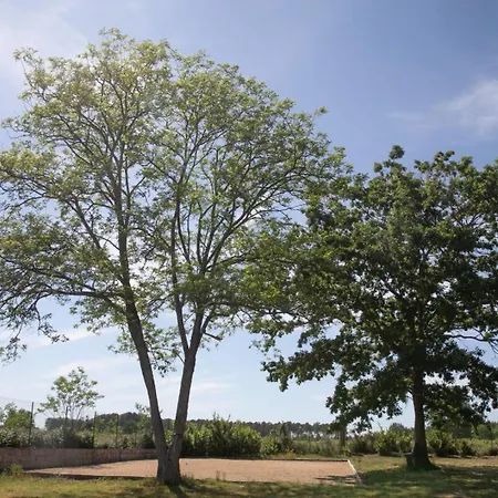 Campsite 4 - Domaine Des Landes Lesperon (Landes)