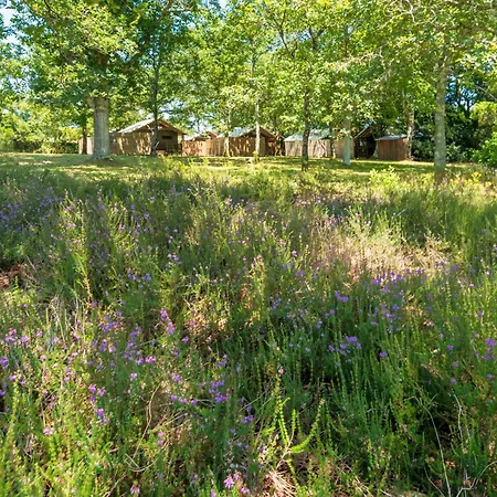 Campsite 4 - Domaine Des Landes Lesperon (Landes)